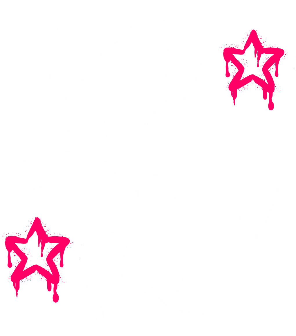 Segundo modelo do logo original NS, com estrelas rosa